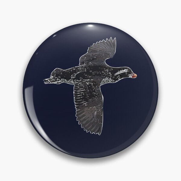 Item preview, Parakeet Auklet Flying White Alternate Design  designed and sold by designsasstultd.
