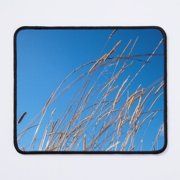 Item preview, Golden Grasses Against a Clear Blue Sky designed and sold by David Patterson.