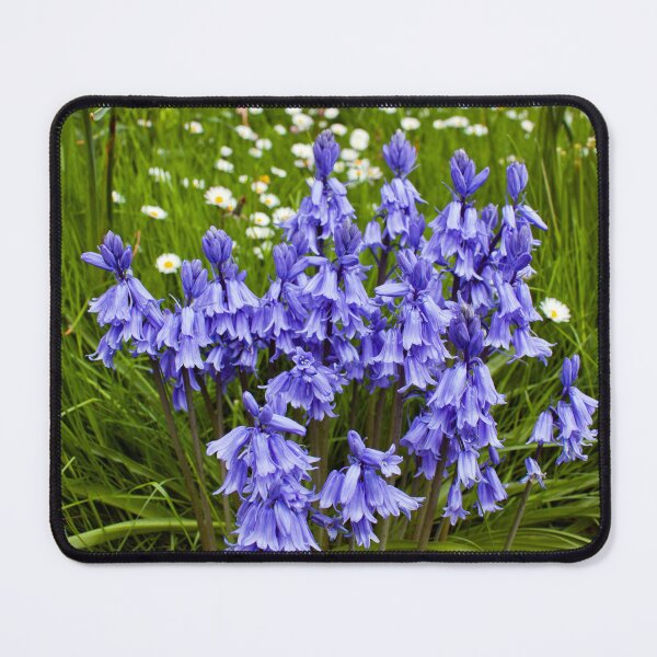 Item preview, Vibrant Bluebells in Bloom designed and sold by David Patterson.