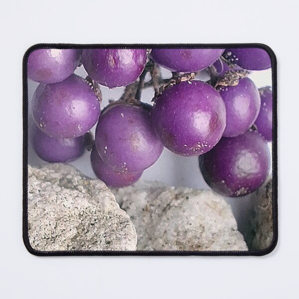 Item preview, Berries of the love-pearl bush and small stones in winter designed and sold by Ekirlufly.
