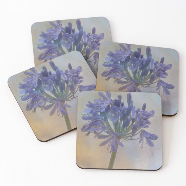 Item preview, Agapanthus, Heavenly Blue. designed and sold by maureen bracewell.