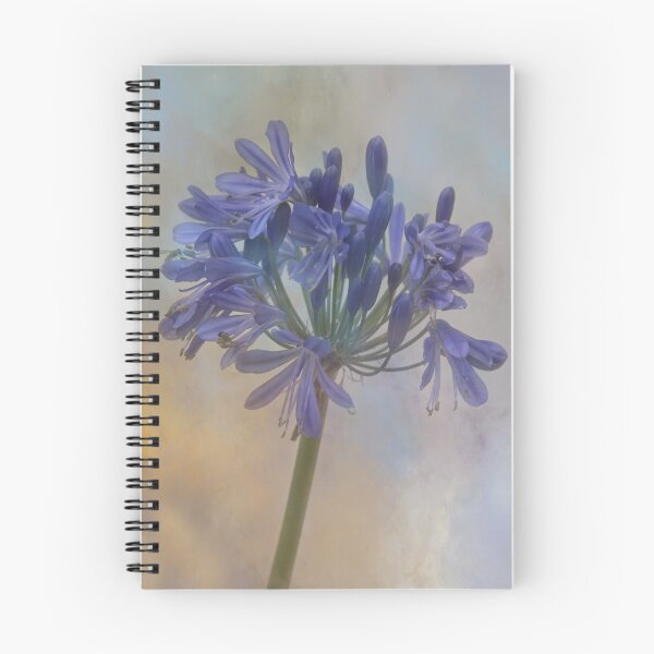 Item preview, Agapanthus, Heavenly Blue. designed and sold by maureen bracewell.
