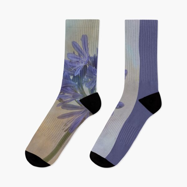 Item preview, Agapanthus, Heavenly Blue. designed and sold by maureen bracewell.