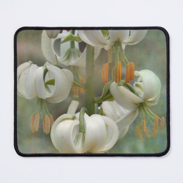 Item preview, White Lilies designed and sold by maureen bracewell.