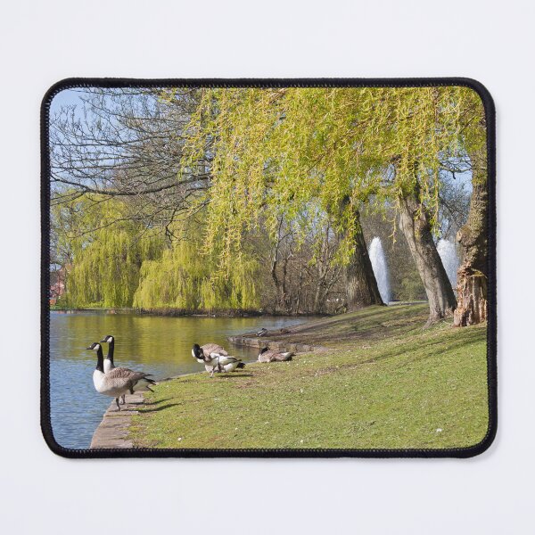 Item preview, Serene Lakeside with Geese and Willow Trees: Hanley Park designed and sold by David Patterson.