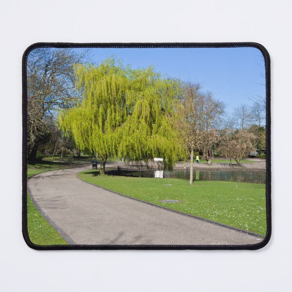 Item preview, Serene Park Pathway, Weeping Willow Tree at Hanley Park designed and sold by David Patterson.