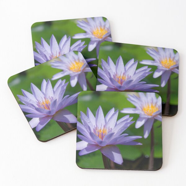 Item preview, Water Lilies designed and sold by Crystal Vision Photo Art.
