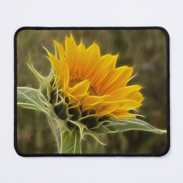 Item preview, Golden Crown designed and sold by maureen bracewell.