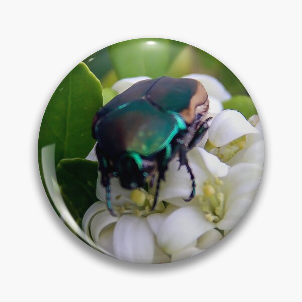 Item preview, Busy June Bug designed and sold by heatherfriedman.