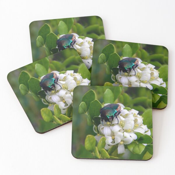 Item preview, Busy June Bug designed and sold by heatherfriedman.