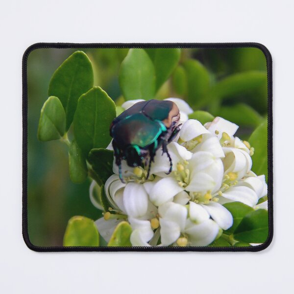 Item preview, Busy June Bug designed and sold by heatherfriedman.