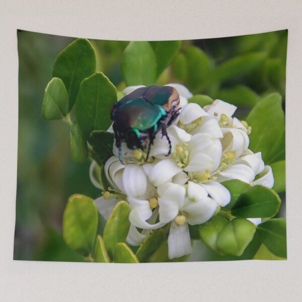 Item preview, Busy June Bug designed and sold by heatherfriedman.