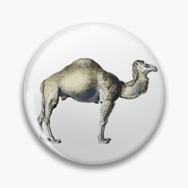 Item preview, Vintage Dromedary Camel Illustration  designed and sold by HawthorneFlame.