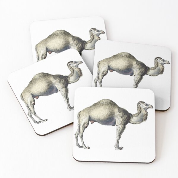 Item preview, Vintage Dromedary Camel Illustration  designed and sold by HawthorneFlame.