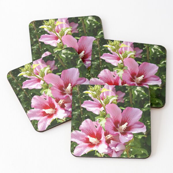 Item preview, Hibiscus Syriacus or Rose of Sharon designed and sold by manoloshoping.
