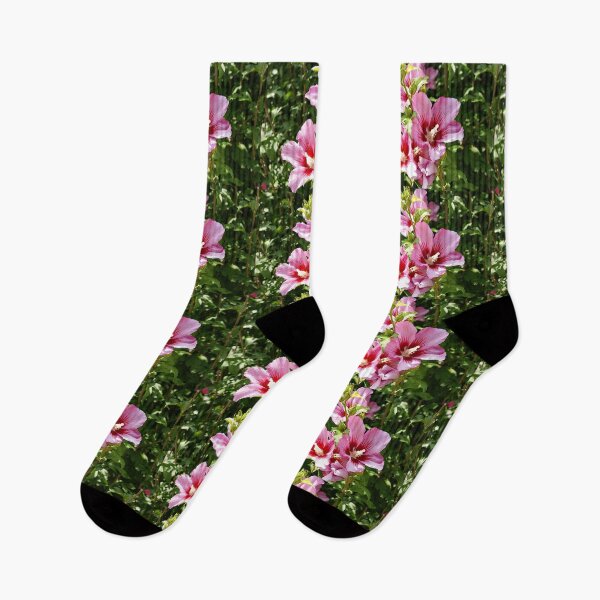 Item preview, Hibiscus Syriacus or Rose of Sharon designed and sold by manoloshoping.
