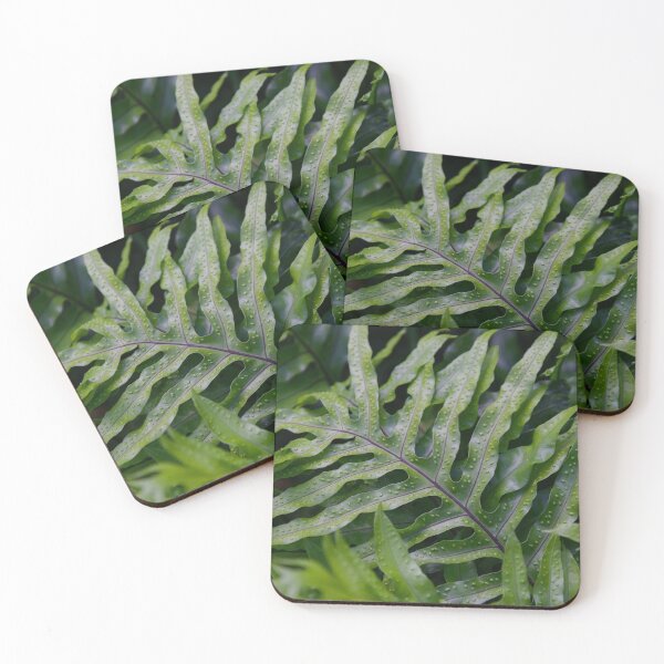 Item preview, Wart Fern designed and sold by Crystal Vision Photo Art.