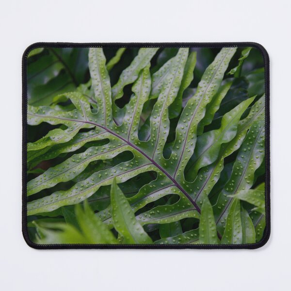 Item preview, Wart Fern designed and sold by Crystal Vision Photo Art.