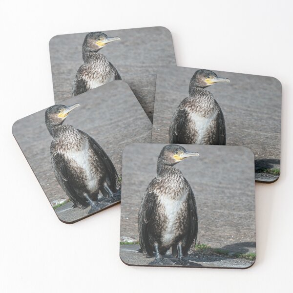 Item preview, The Cormorant designed and sold by Tom McPherson Photography.
