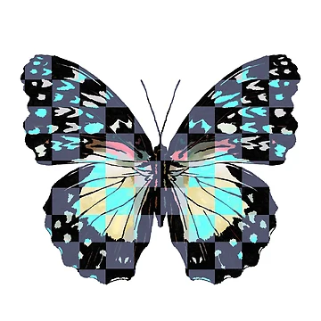 Artwork thumbnail, Checkerboard Butterfly by RDevane