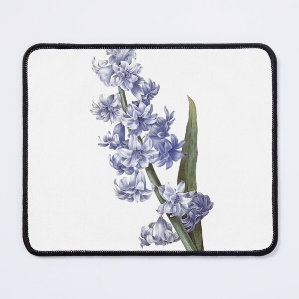 Item preview, Blue Hyacinth Flower Illustration, Vintage Illustration, Botanical designed and sold by HawthorneFlame.