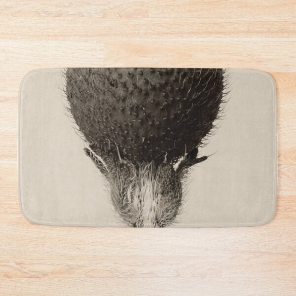 Item preview, Thorned Plant designed and sold by LegacyPressCo.