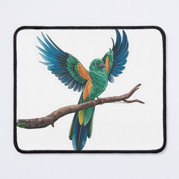 Item preview, The Beautiful Quetzal Bird. designed and sold by RadiantRevArt ⭐⭐⭐⭐⭐.