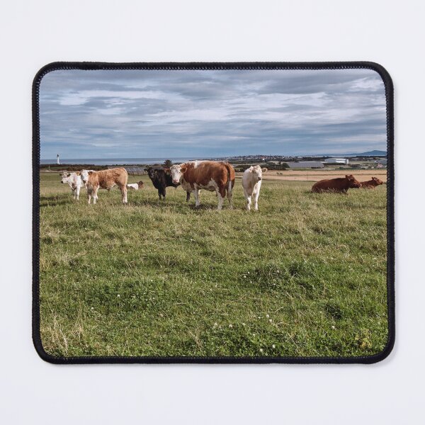Item preview, Rural Landscape Moray designed and sold by Tom McPherson Photography.