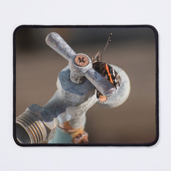 Item preview, Painted Lady 2 designed and sold by Crystal Vision Photo Art.