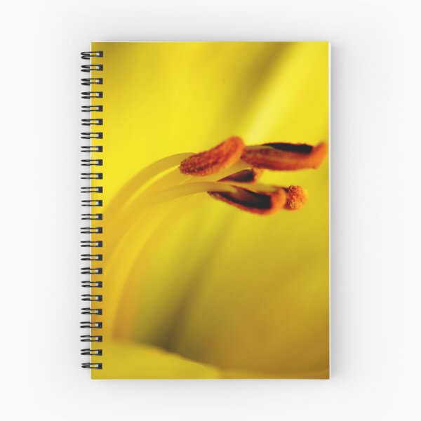 Item preview, Flowers and roses 111 - (c) ben yassa designed and sold by beny .