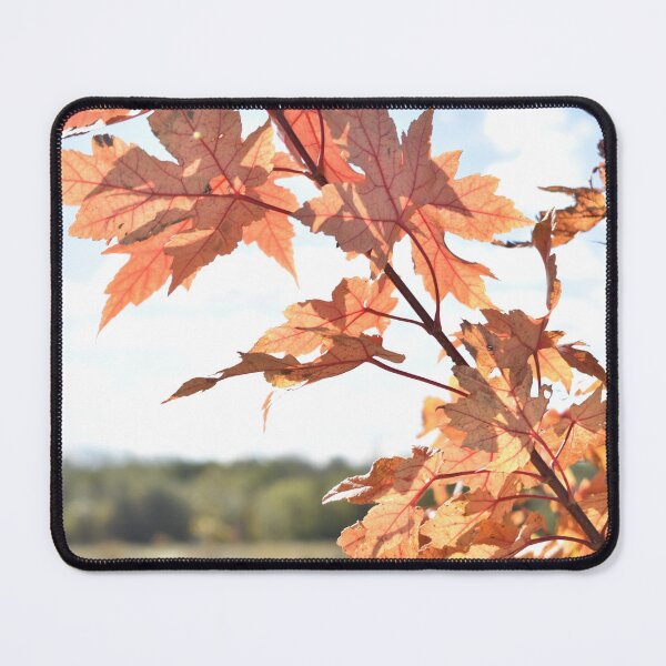 Item preview, Young Maple designed and sold by Crystal Vision Photo Art.