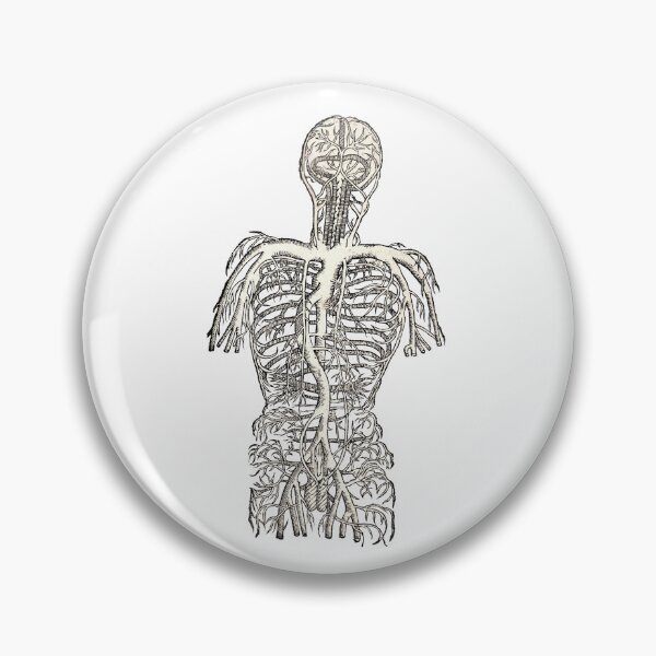 Item preview, Vintage Human Nervous System Medical Drawing  designed and sold by HawthorneFlame.