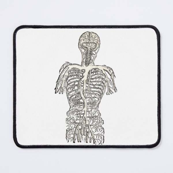 Item preview, Vintage Human Nervous System Medical Drawing designed and sold by HawthorneFlame.