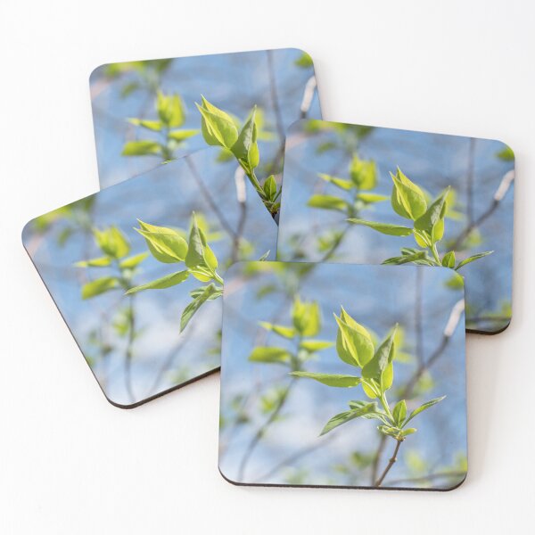 Item preview, Fresh designed and sold by Crystal Vision Photo Art.