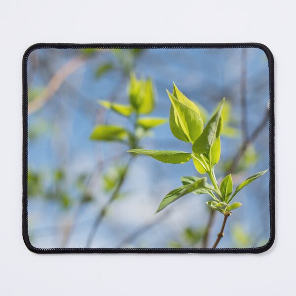 Item preview, Fresh designed and sold by Crystal Vision Photo Art.