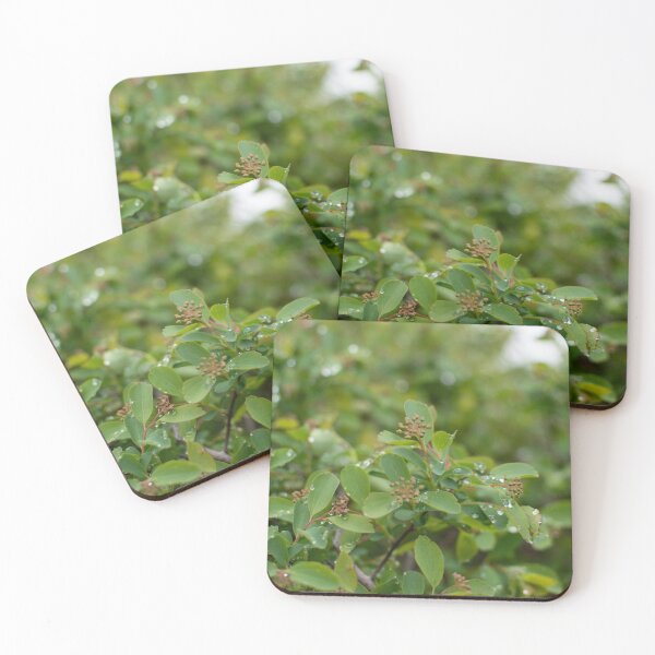 Item preview, Droplets designed and sold by Crystal Vision Photo Art.