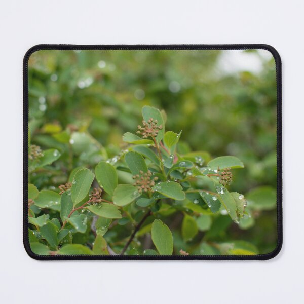 Item preview, Droplets designed and sold by Crystal Vision Photo Art.