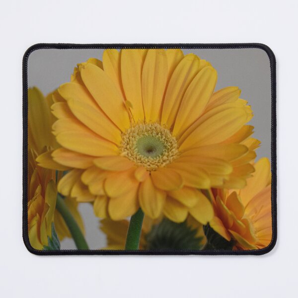 Item preview, Gerbera Bouquet designed and sold by Crystal Vision Photo Art.