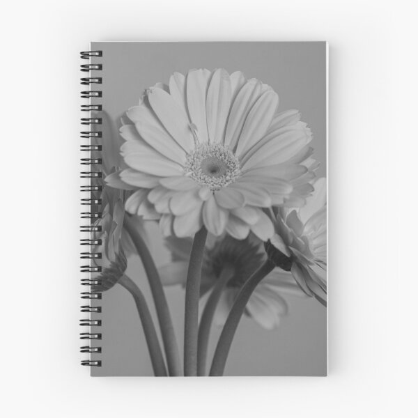 Item preview, Gerbera Bouquet (B/W) designed and sold by Crystal Vision Photo Art.