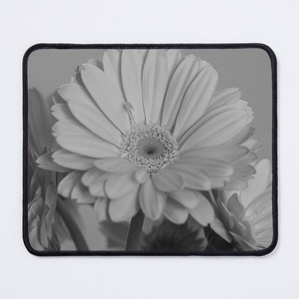 Item preview, Gerbera Bouquet (B/W) designed and sold by Crystal Vision Photo Art.
