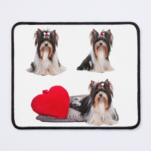 Item preview, Biewer Terrier Trio designed and sold by bklyng.