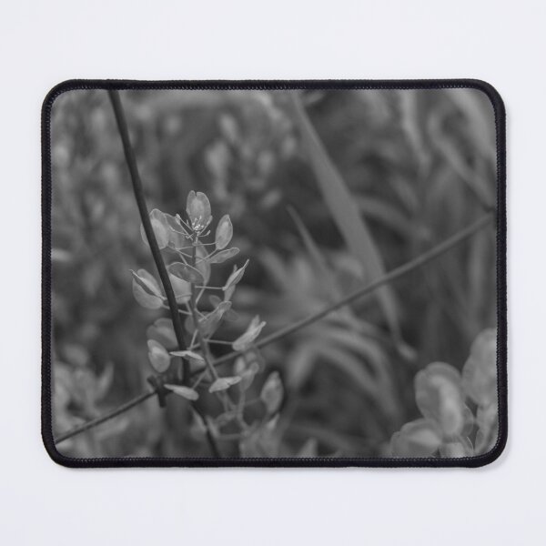 Item preview, Fence Line (B/W) designed and sold by Crystal Vision Photo Art.