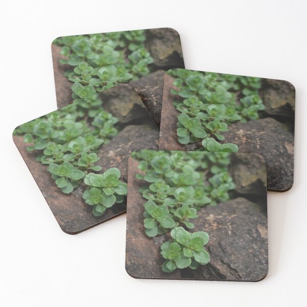 Item preview, Sedum designed and sold by Crystal Vision Photo Art.