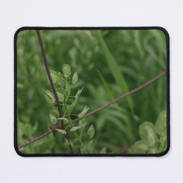 Item preview, Fence Line designed and sold by Crystal Vision Photo Art.