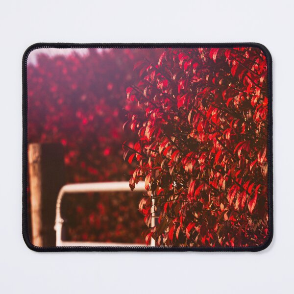 Item preview, Onset Of Autumn designed and sold by Jim Love.
