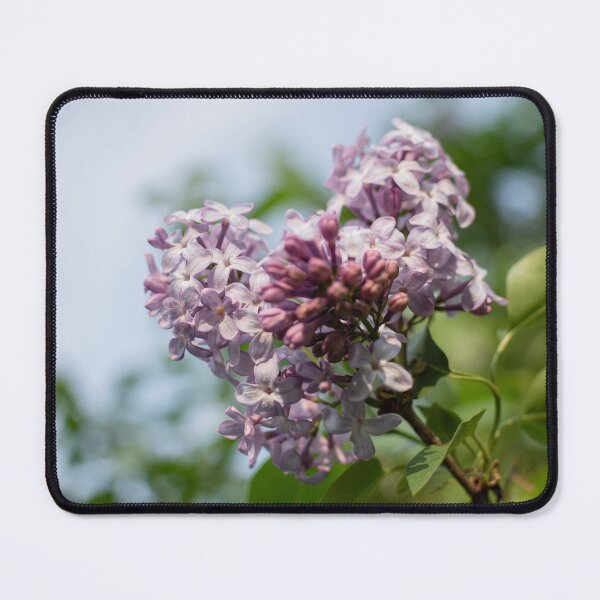 Item preview, Lilac Cluster designed and sold by Crystal Vision Photo Art.
