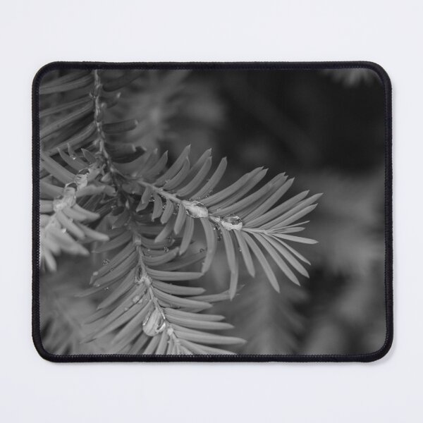 Item preview, Rainy Yew (B/W) designed and sold by Crystal Vision Photo Art.