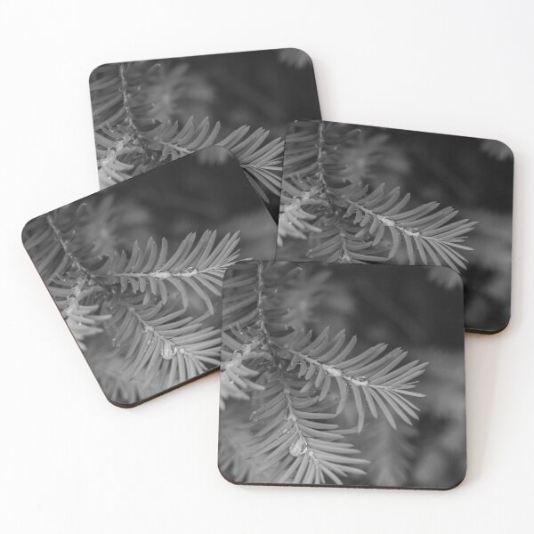 Item preview, Rainy Yew (B/W) designed and sold by Crystal Vision Photo Art.