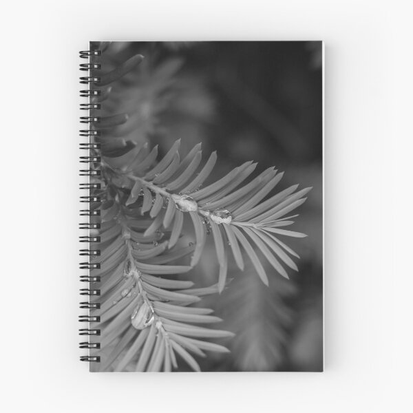 Item preview, Rainy Yew (B/W) designed and sold by Crystal Vision Photo Art.