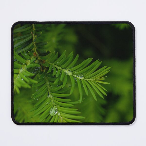Item preview, Rainy Yew designed and sold by Crystal Vision Photo Art.